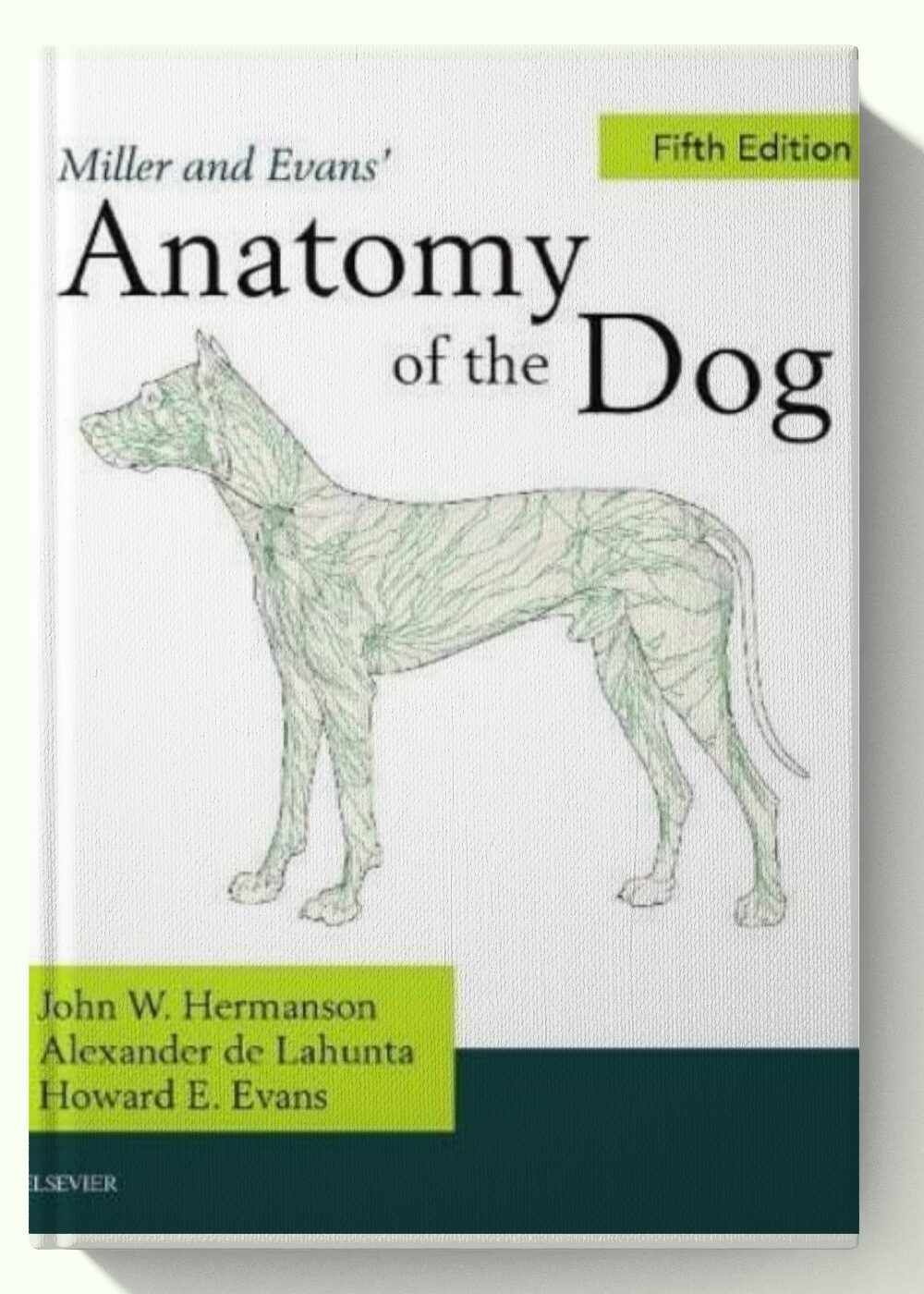 Miller's Anatomy of the Dog 5th-Edition