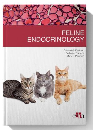 Feline endocrinology