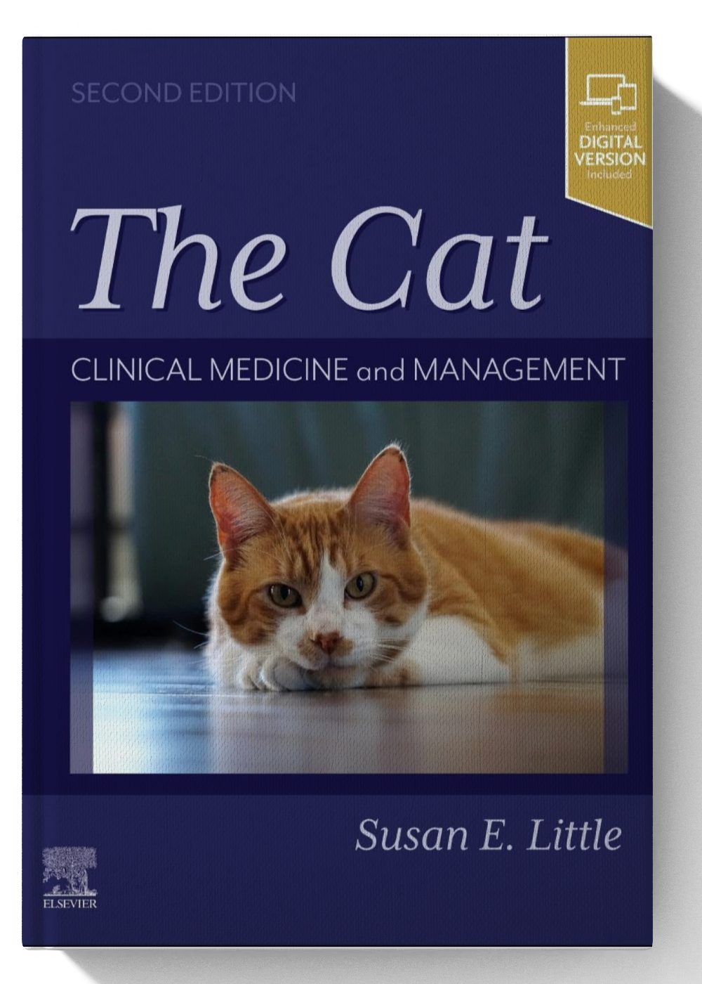 THE CAT: Clinical Medicine and Management 2nd-Edition